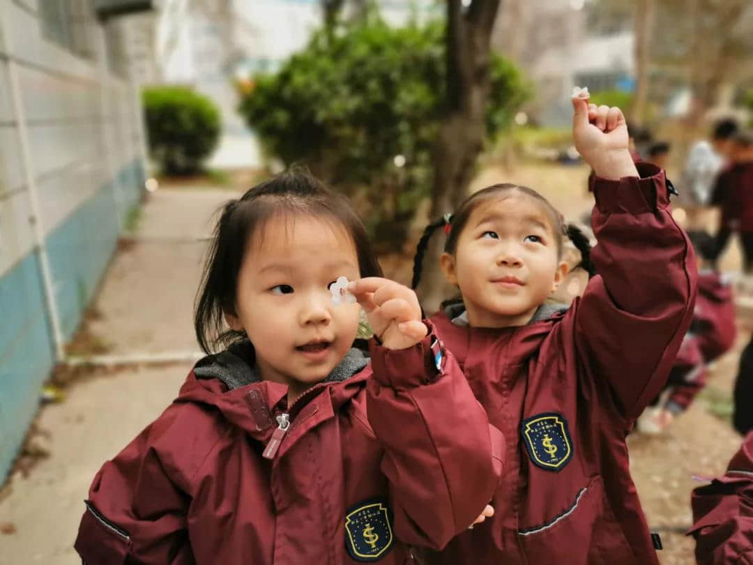 赴一場與杏花春雨楊柳風的約會--二十四節(jié)氣春分