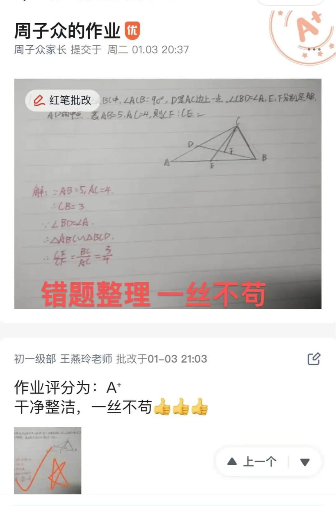 線上教學(xué)勤耕耘 凝心聚力促成長丨初二年級云端課堂紀(jì)實