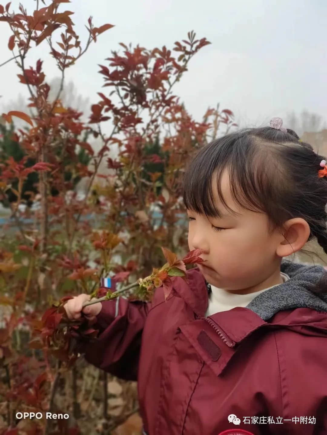 【幼之育】邂逅春日，“幼”見花開