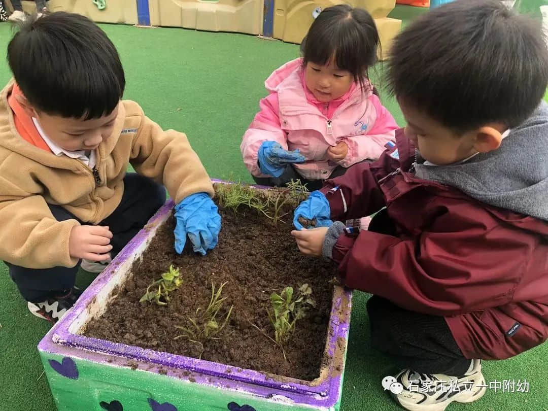 【幼之育】邂逅春日，“幼”見花開