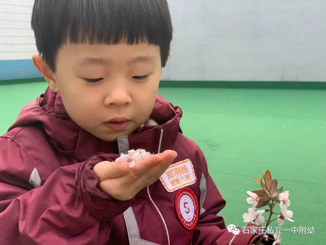 【幼之育】邂逅春日，“幼”見花開