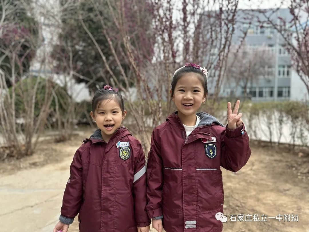 【幼之育】邂逅春日，“幼”見花開