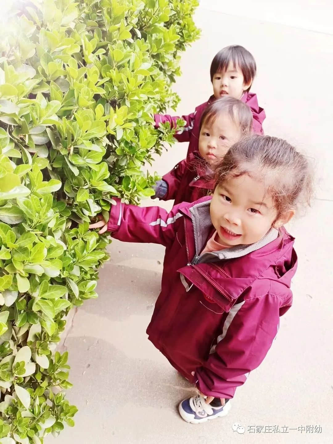 【幼之育】邂逅春日，“幼”見花開