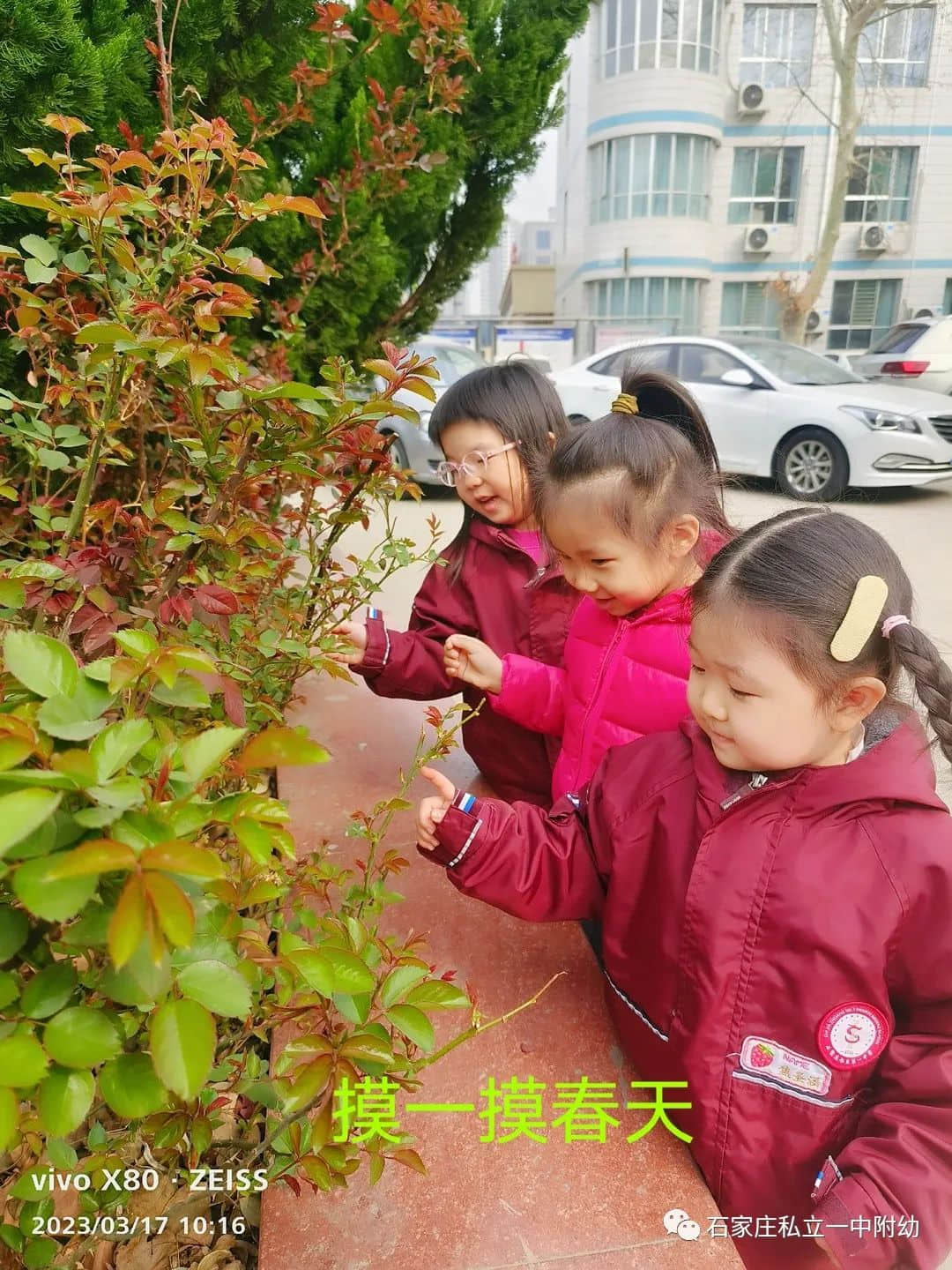 【幼之育】邂逅春日，“幼”見花開