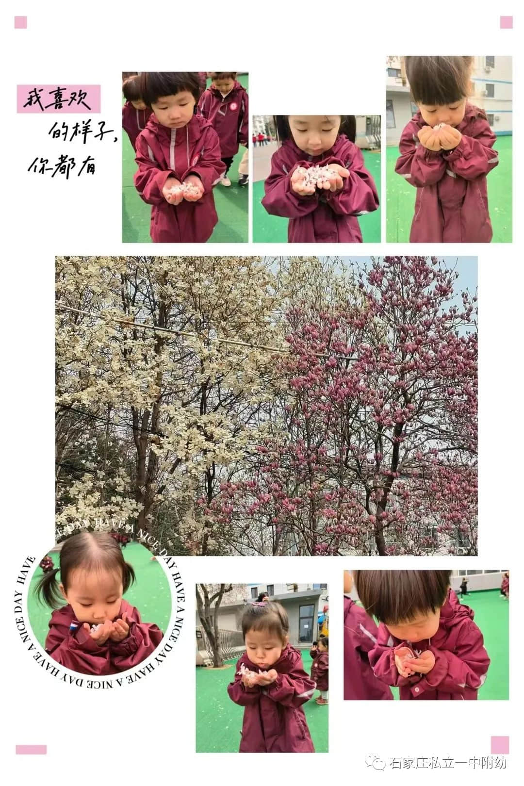 【幼之育】邂逅春日，“幼”見花開