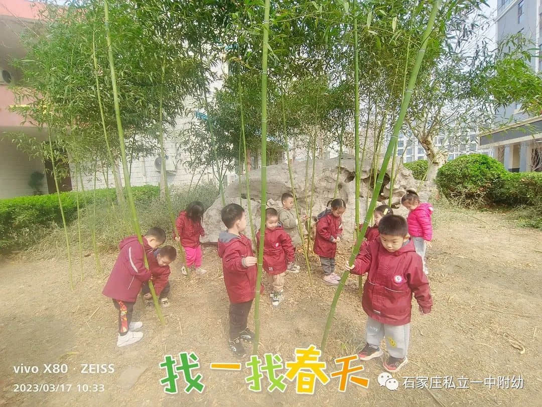 【幼之育】邂逅春日，“幼”見花開