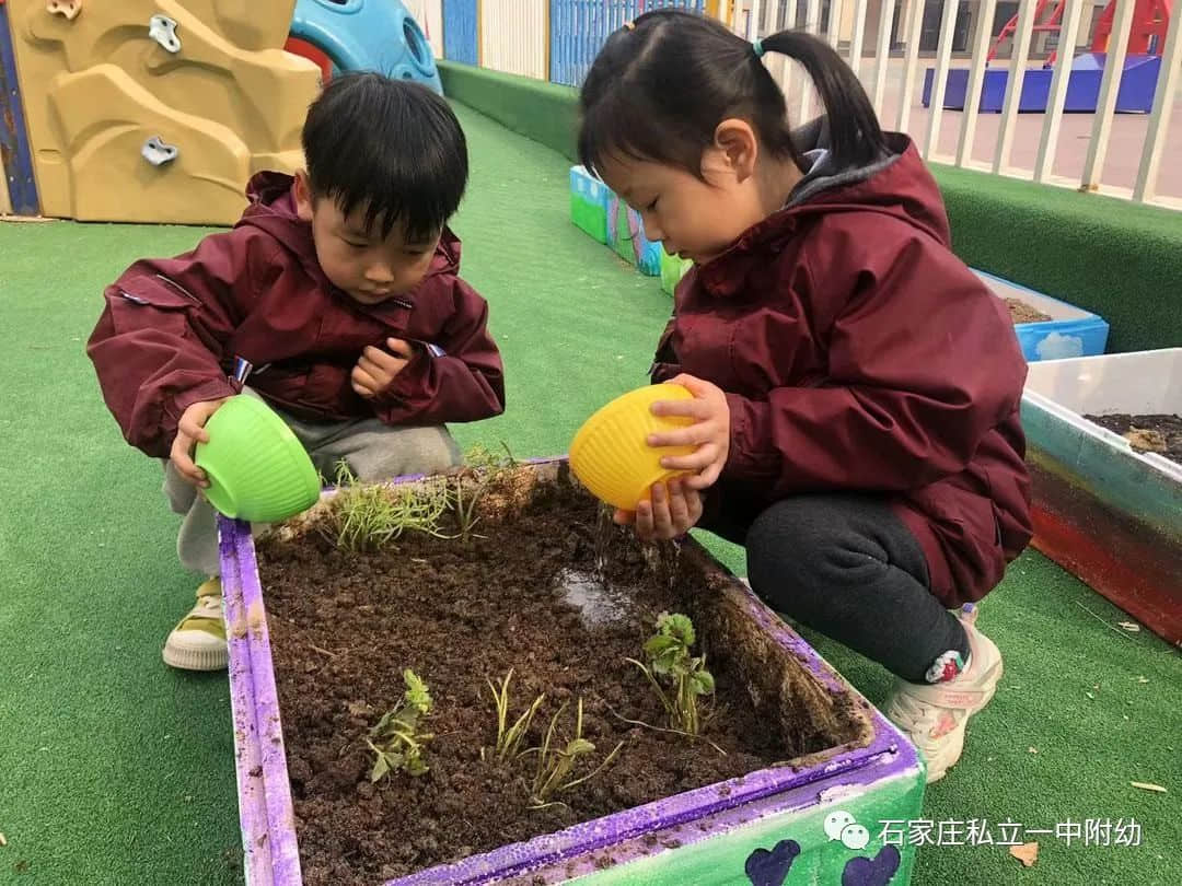 【幼之育】邂逅春日，“幼”見花開