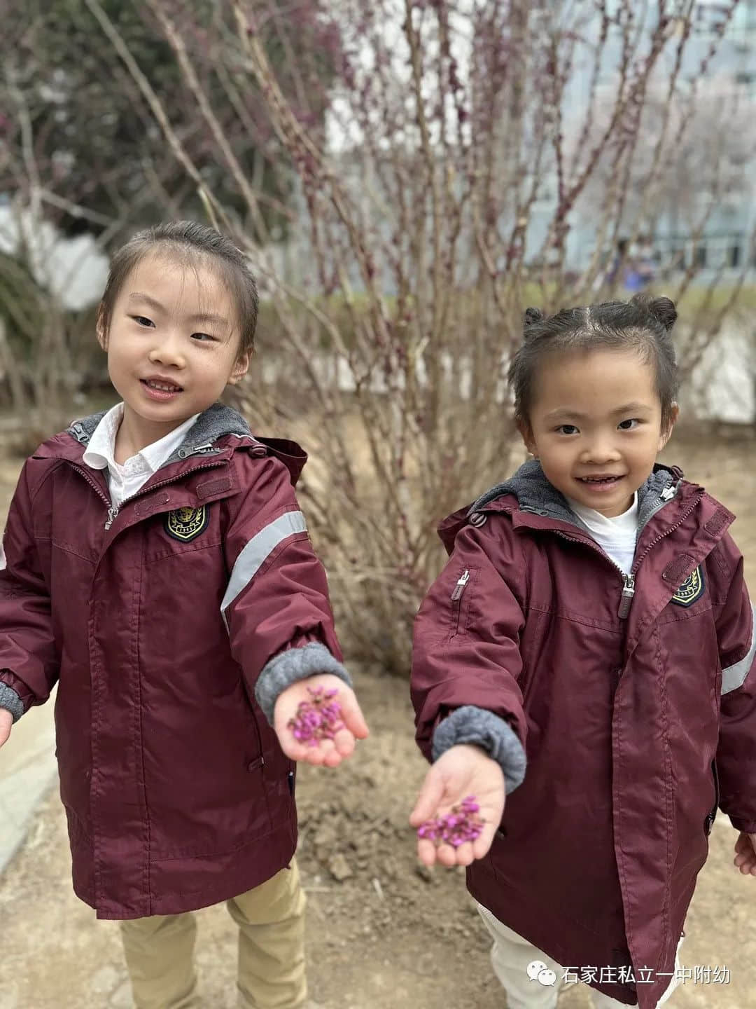 【幼之育】邂逅春日，“幼”見花開