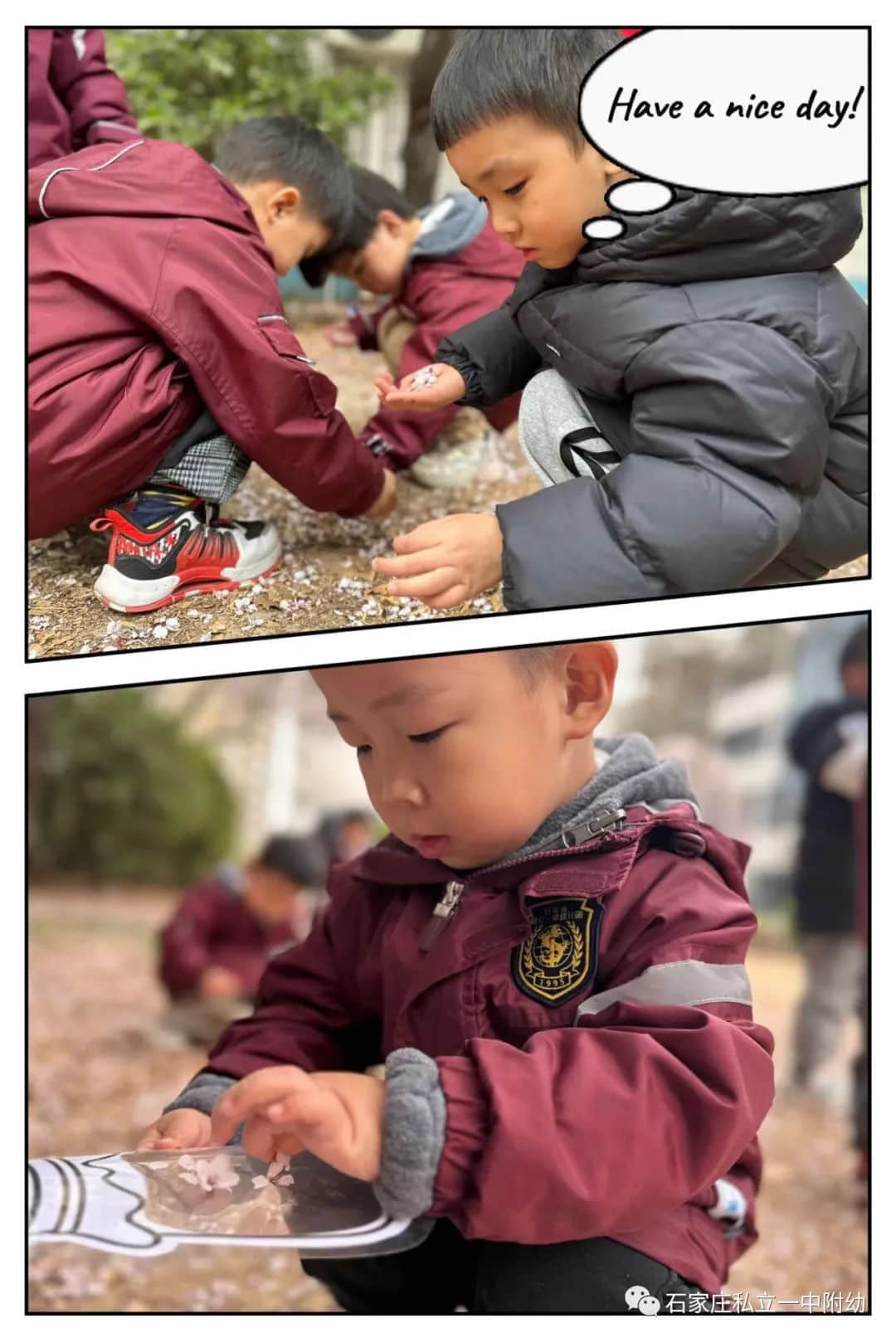 【幼之育】邂逅春日，“幼”見花開