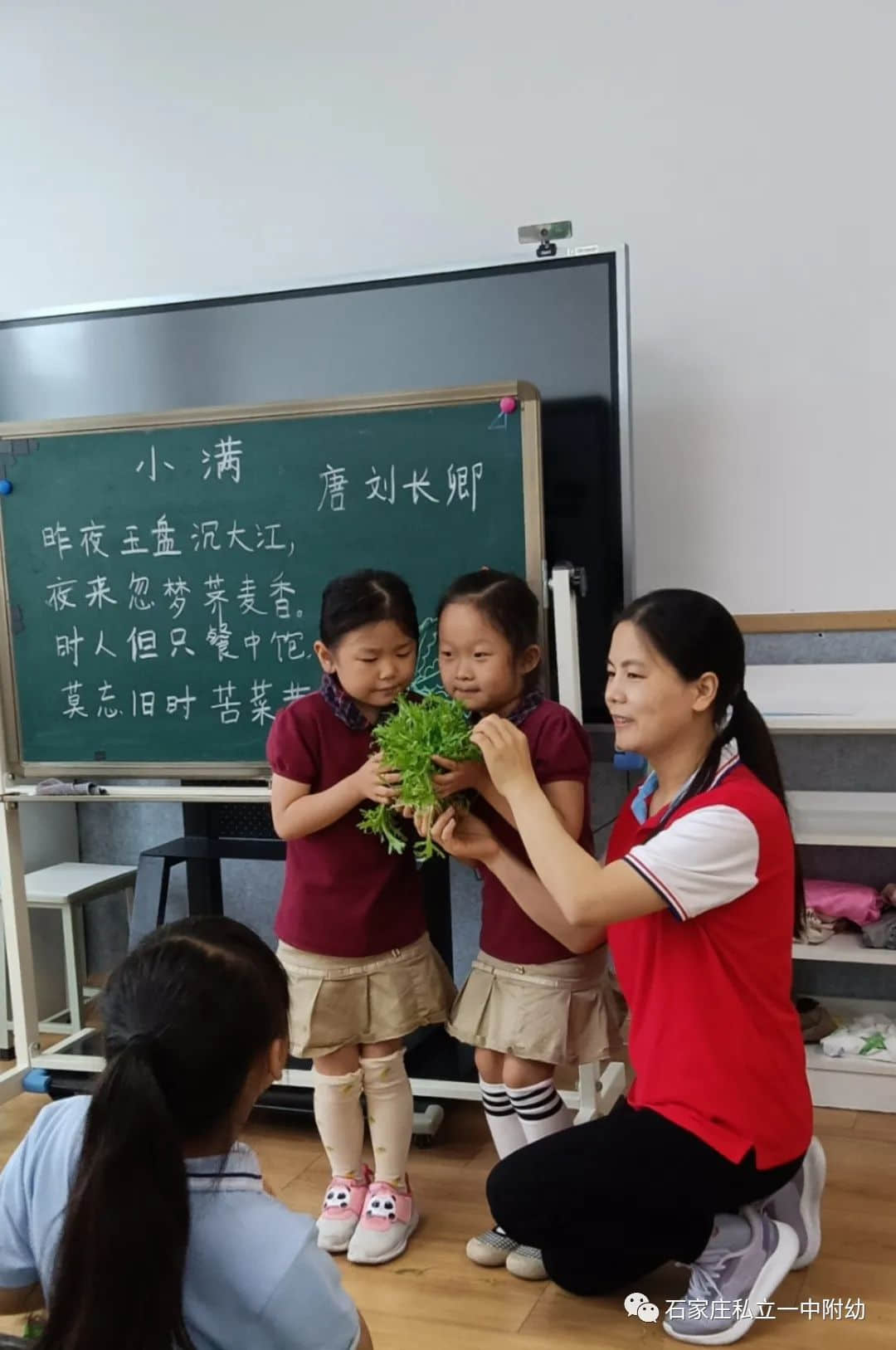 【幼之育】小滿小滿，幸?！坝住泵罎M