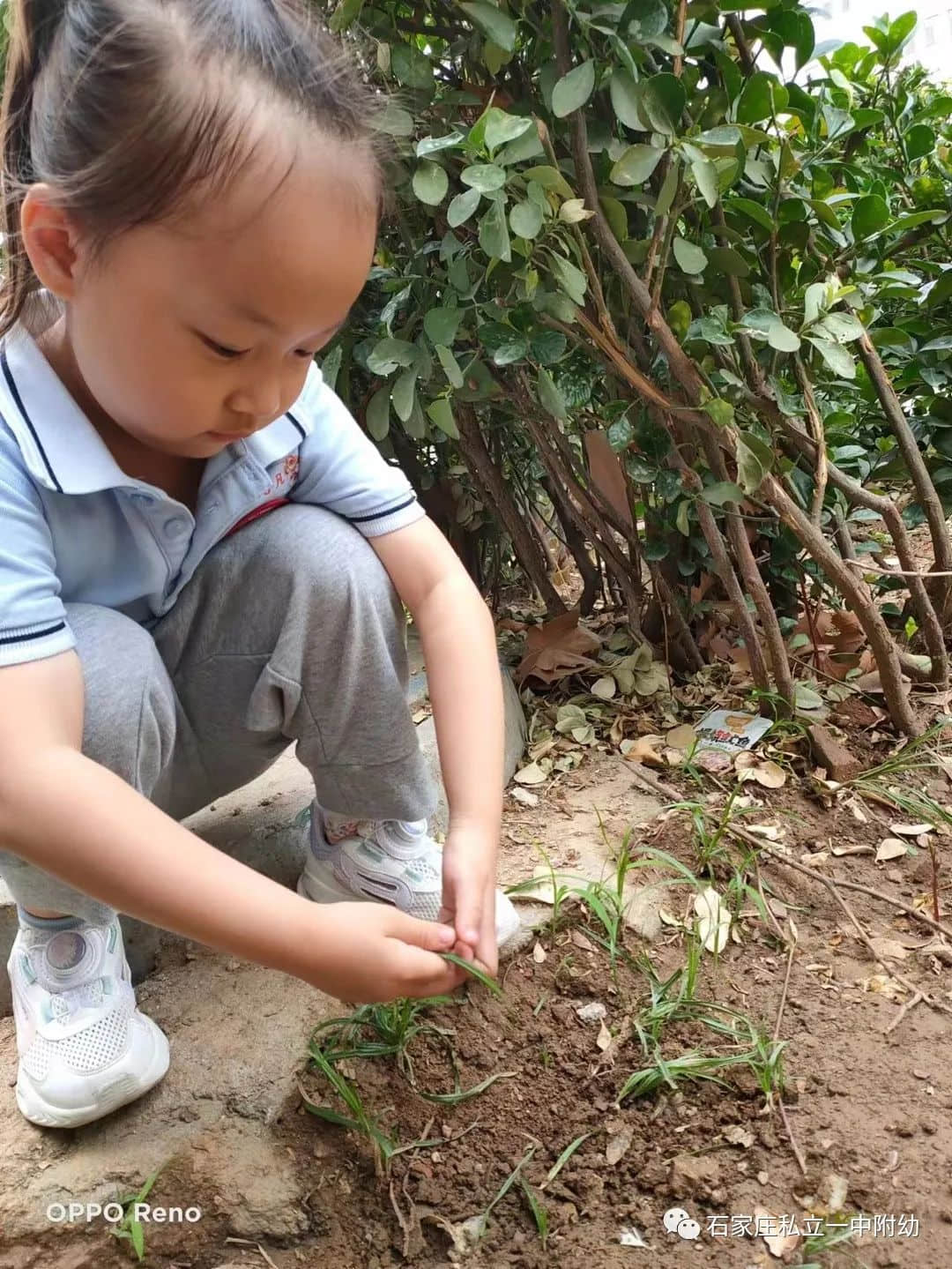 【幼之育】小滿小滿，幸福“幼”美滿