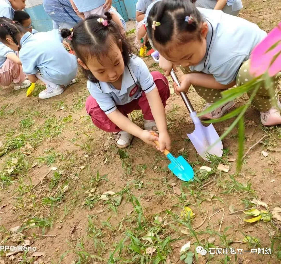 【幼之育】小滿小滿，幸福“幼”美滿