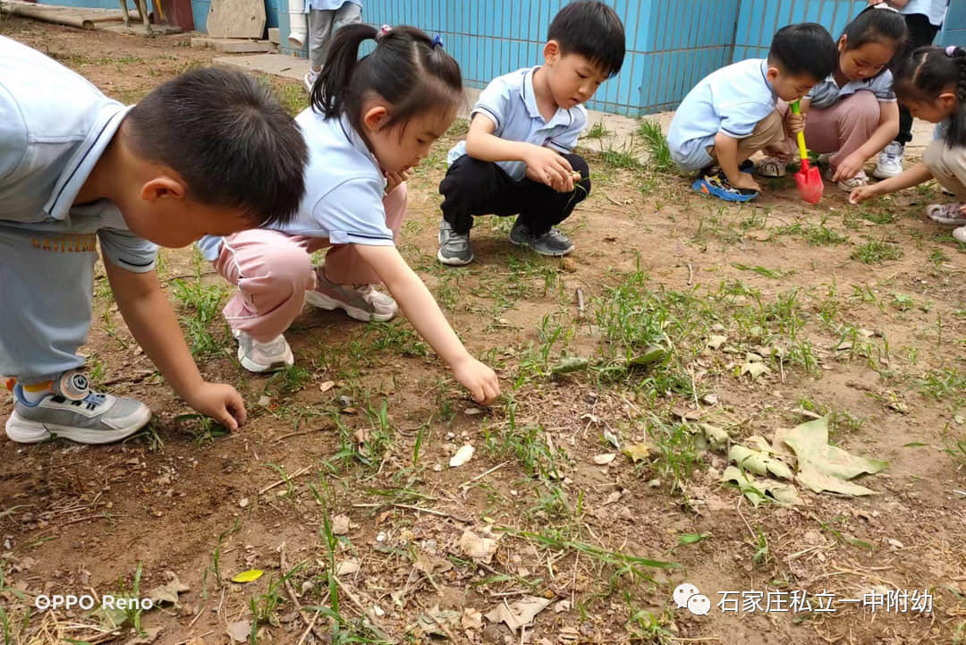 【幼之育】小滿小滿，幸福“幼”美滿