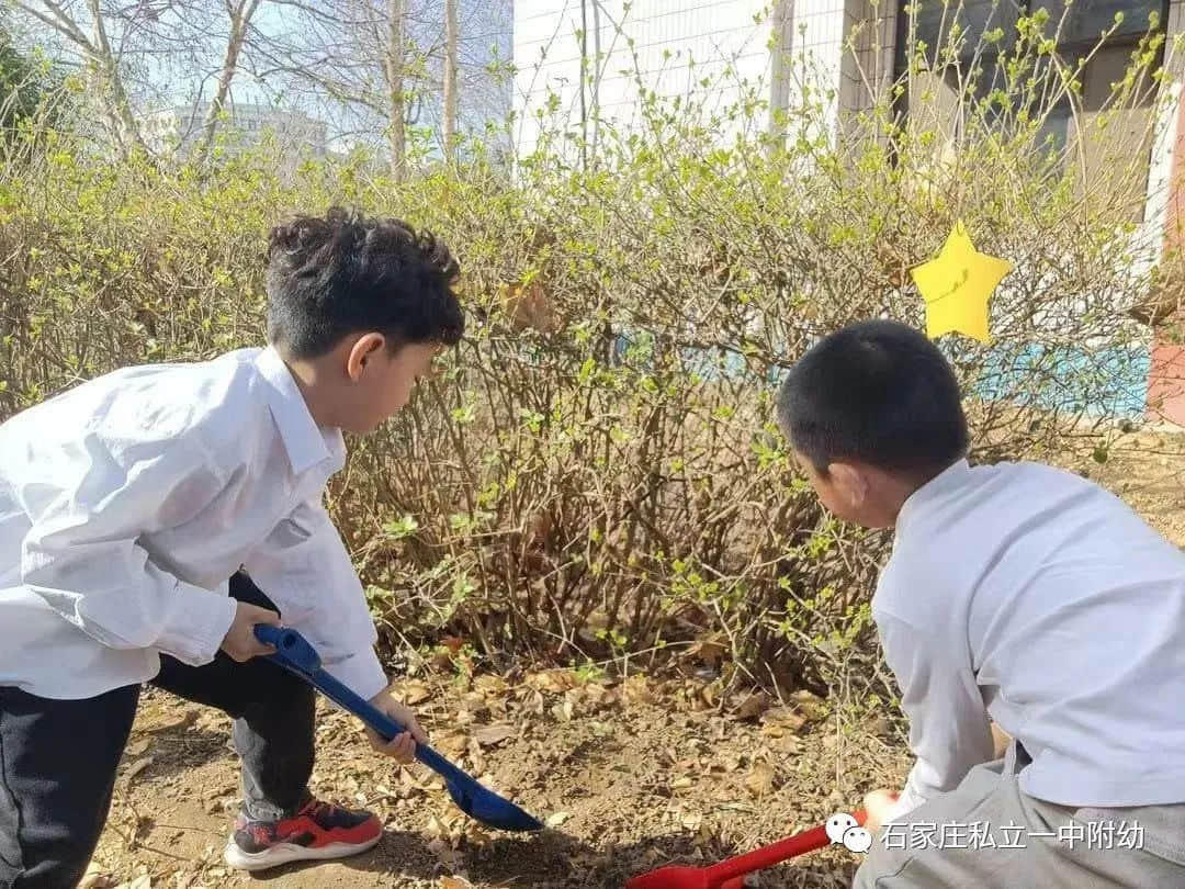 【幼之育】用愛養(yǎng)育 用心教育——石家莊私立第一中學(xué)幼兒園