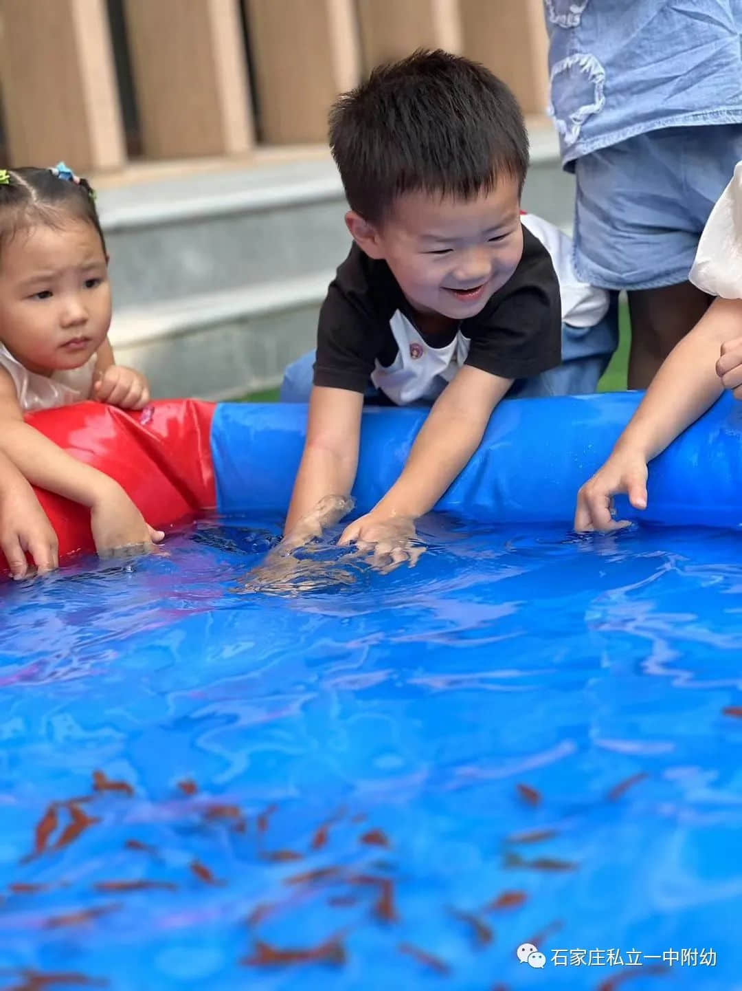 秋趣、魚(yú)趣、童趣