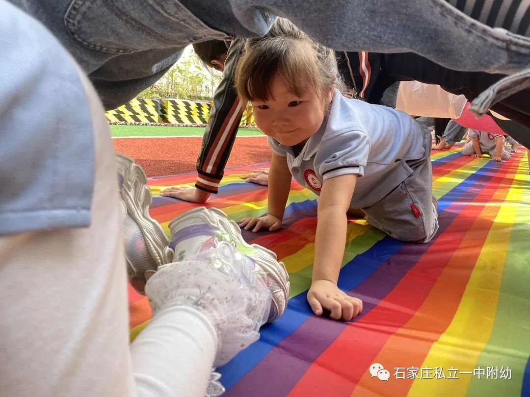 半日陪伴 見證成長—石家莊私立第一中學幼兒園家長開放日活動