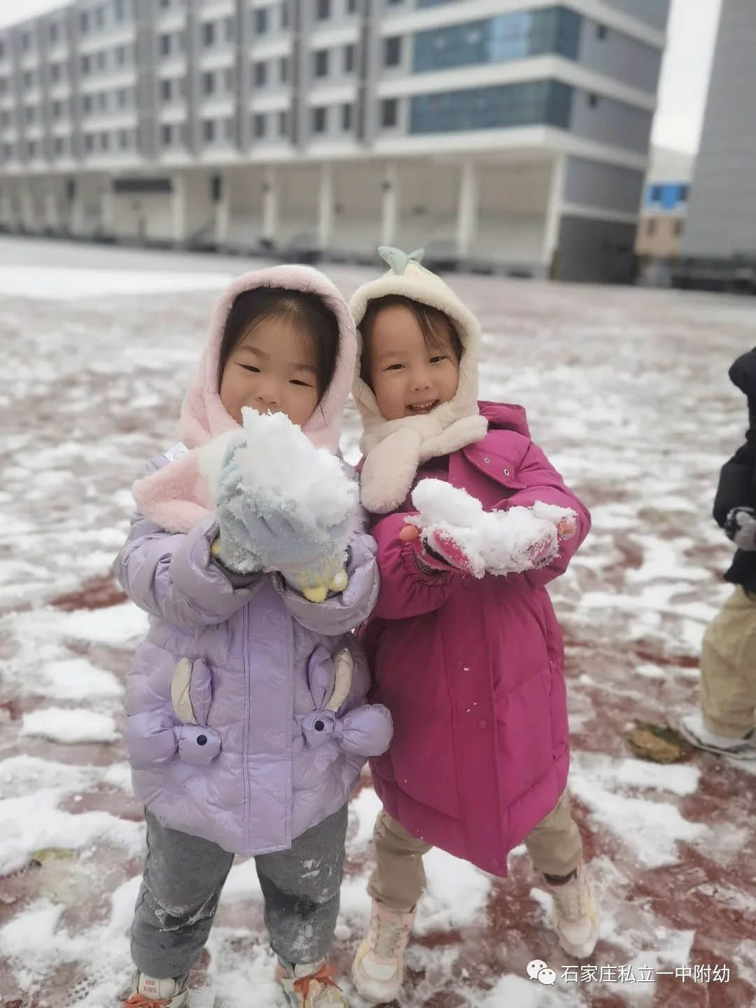 【幼之樂】“立寶兒”雪趣，邂逅最美童年