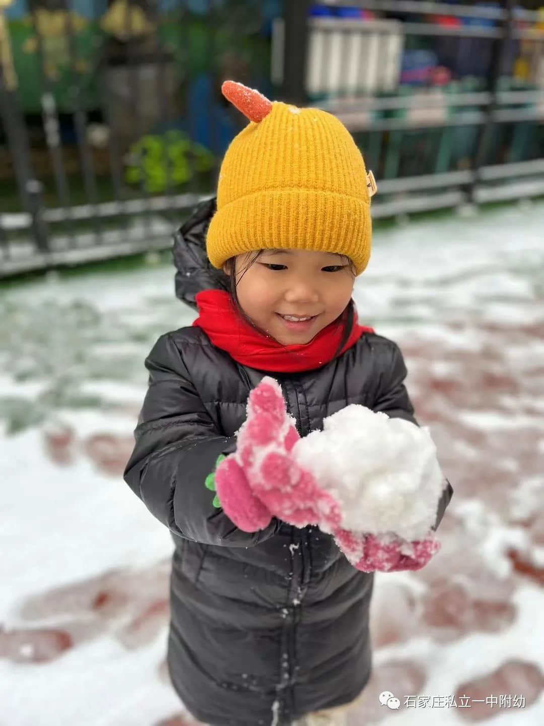 【幼之樂】“立寶兒”雪趣，邂逅最美童年