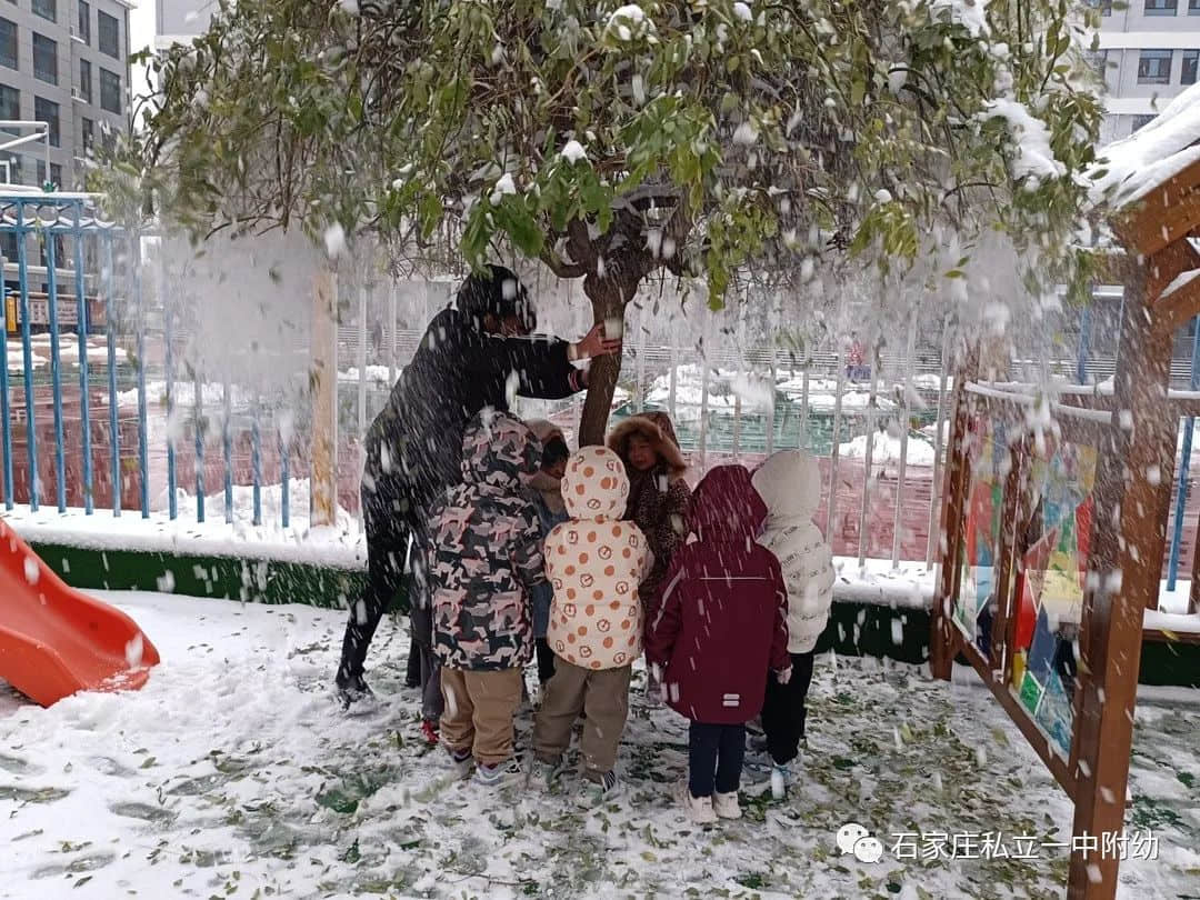 【幼之樂】“立寶兒”雪趣，邂逅最美童年