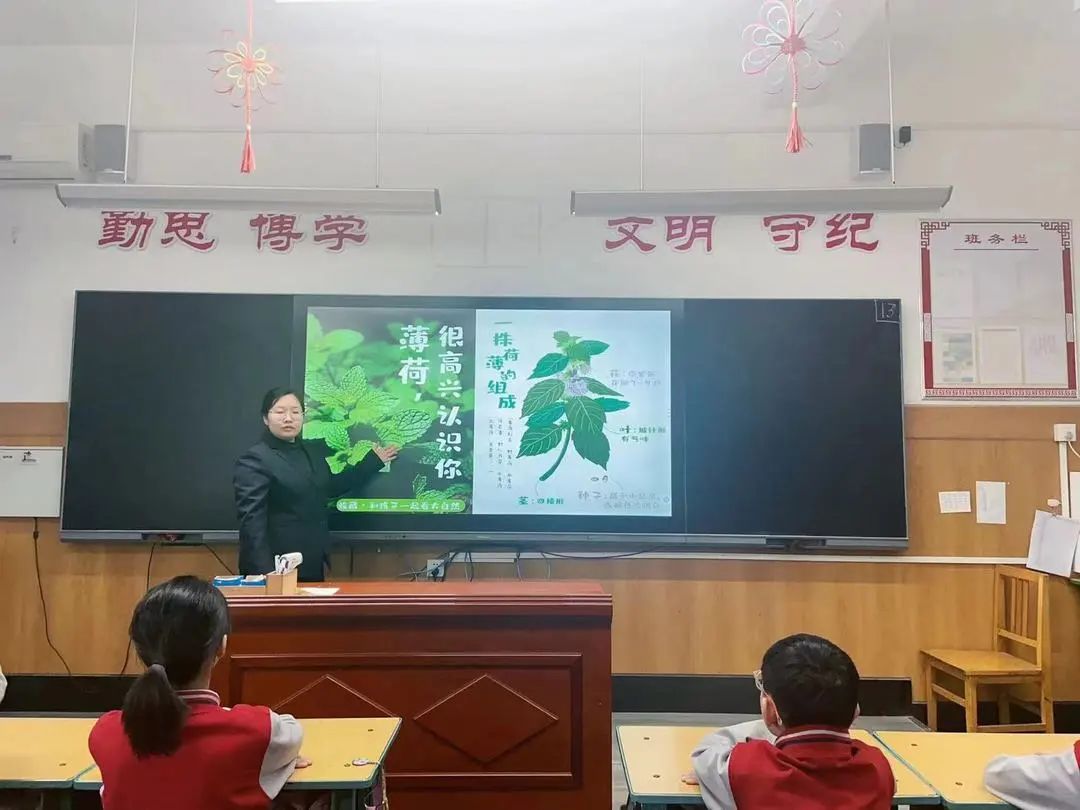 【立小?生命教育】尋味種植園 探秘中草藥｜三年級(jí)百草園種植課程開(kāi)啟儀式