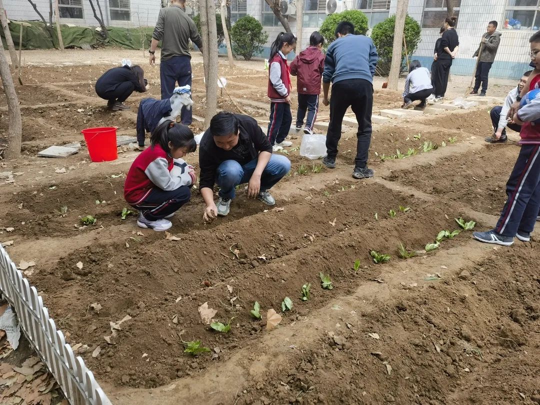 【立小?生命教育】尋味種植園 探秘中草藥｜三年級(jí)百草園種植課程開(kāi)啟儀式