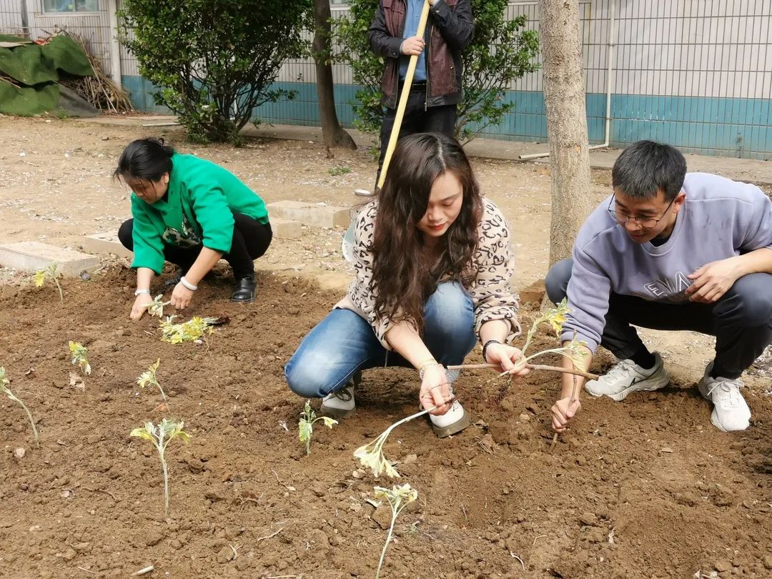 【立小?生命教育】尋味種植園 探秘中草藥｜三年級(jí)百草園種植課程開(kāi)啟儀式