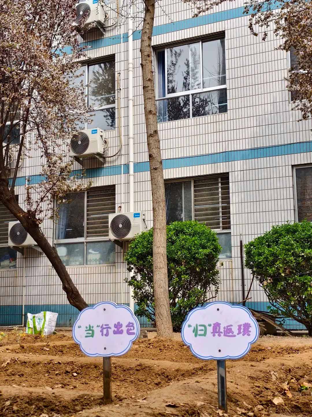 【立小?生命教育】尋味種植園 探秘中草藥｜三年級(jí)百草園種植課程開(kāi)啟儀式