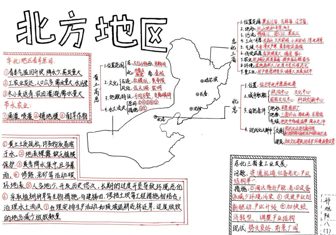 思維綻放 智慧飛揚丨初二年級開展學科思維導圖競賽