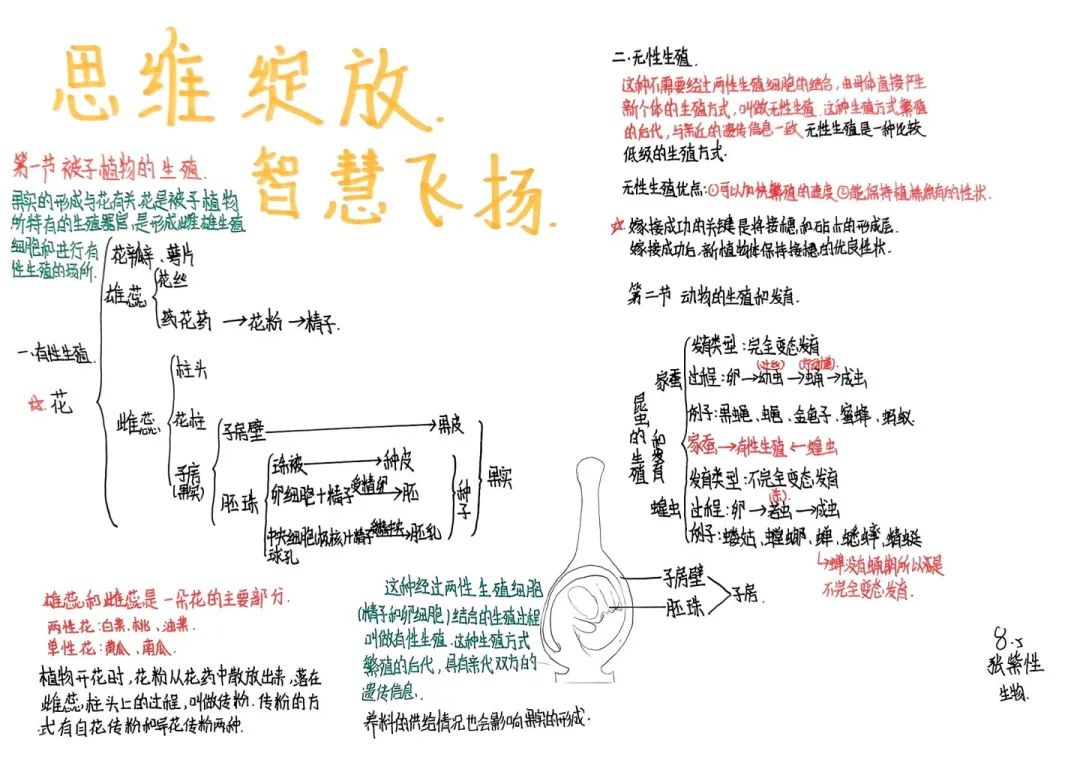 思維綻放 智慧飛揚丨初二年級開展學科思維導圖競賽