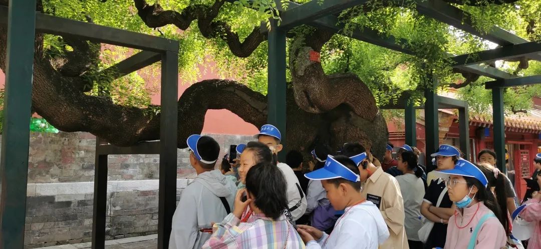 【立小 ? 畢業(yè)】嘿，小俠們的“京”彩旅行來啦~｜小初銜接部畢業(yè)活動紀實