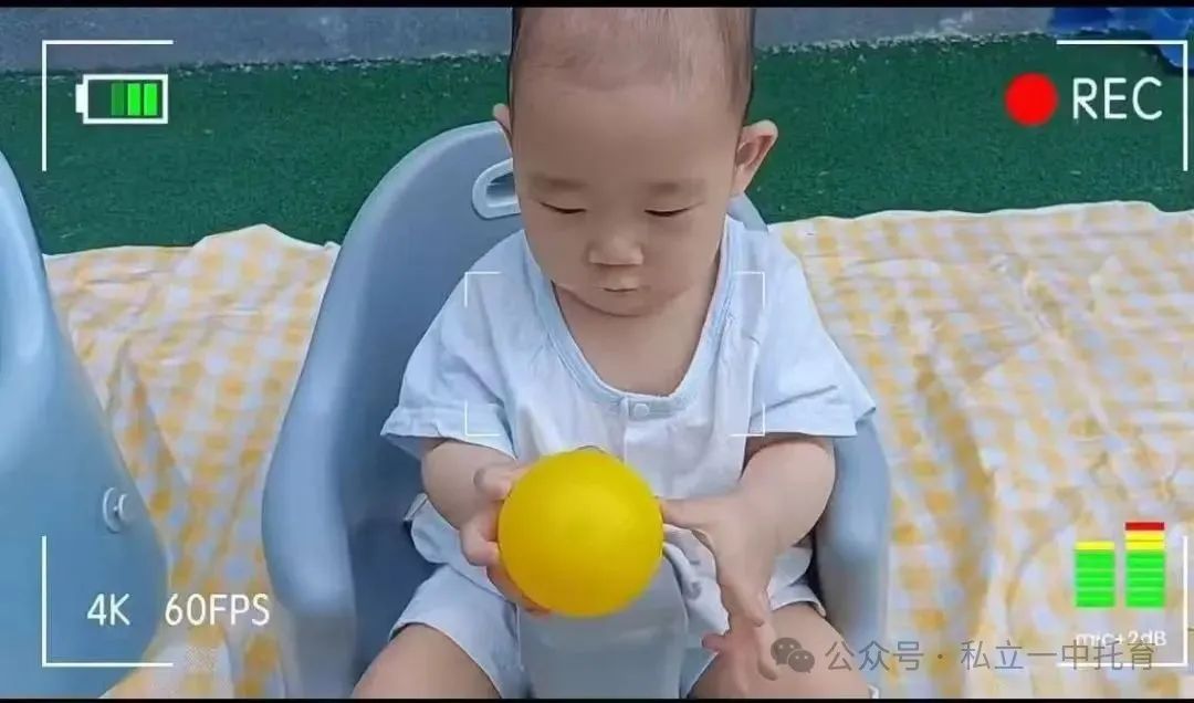 【寶龍托育】寶寶滿4個月就可以入托啦~~