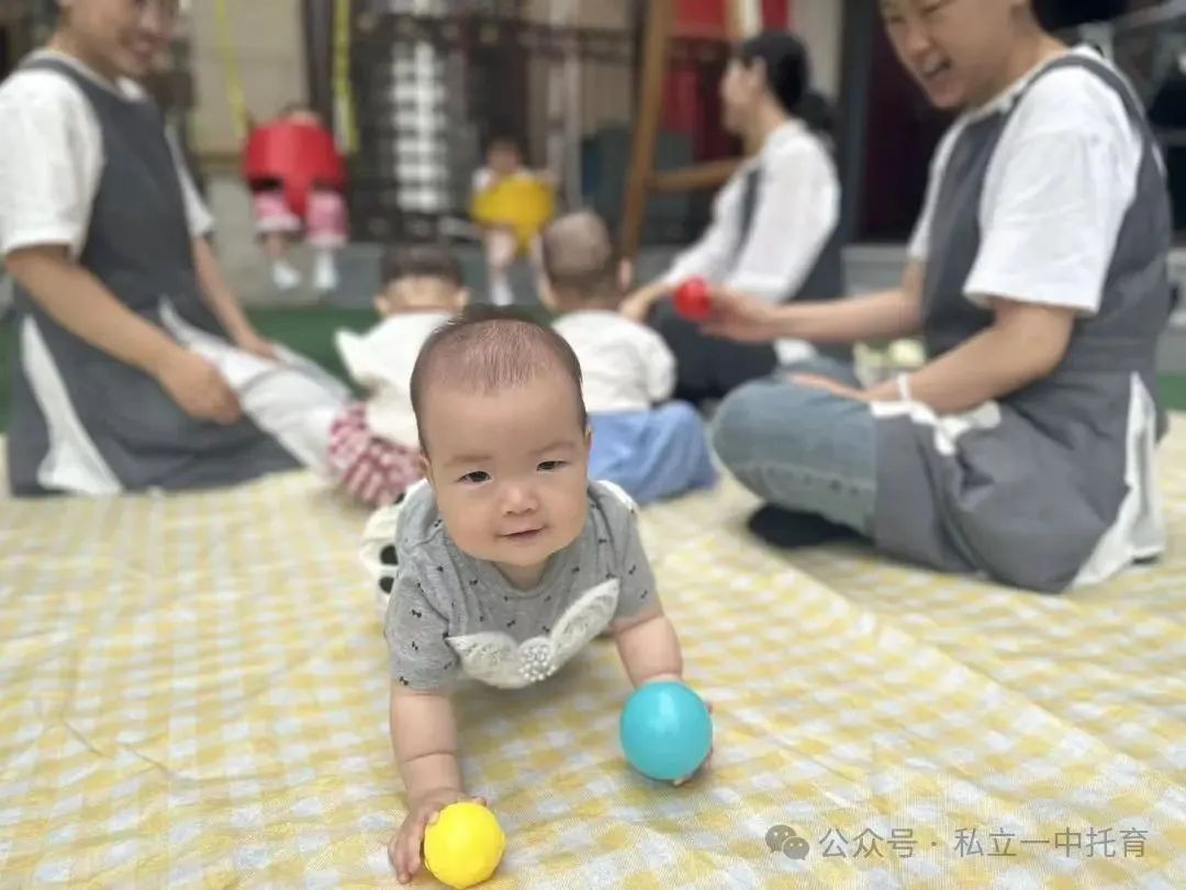 【寶龍托育】寶寶滿4個月就可以入托啦~~
